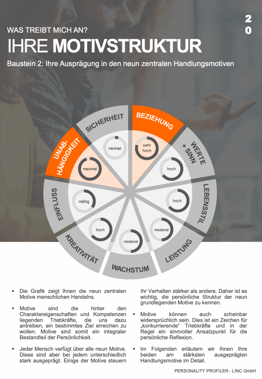 Beispielseite Personality Profiler - Motivstruktur