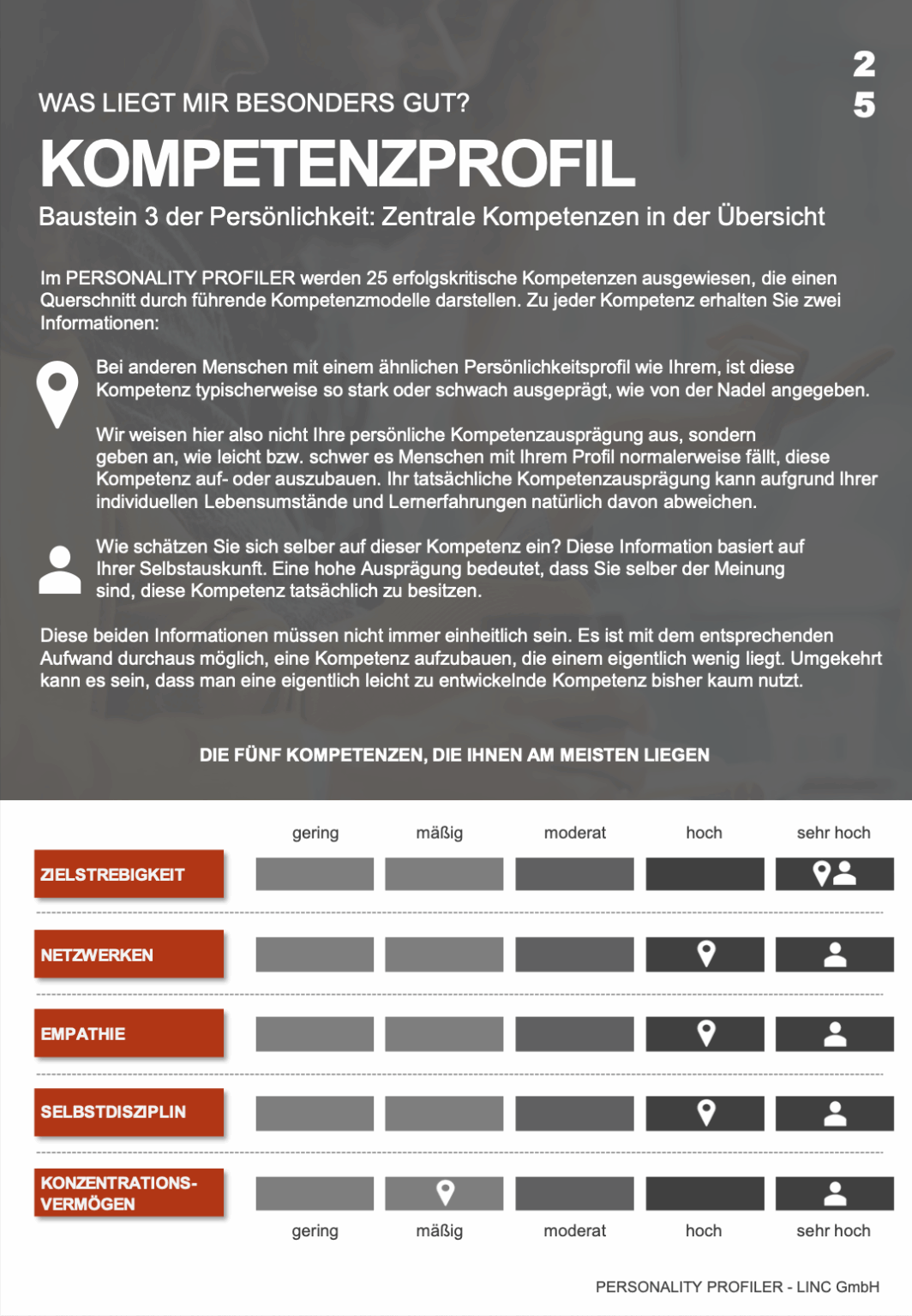 Beispielseite Personality Profiler - Kompetenzprofil