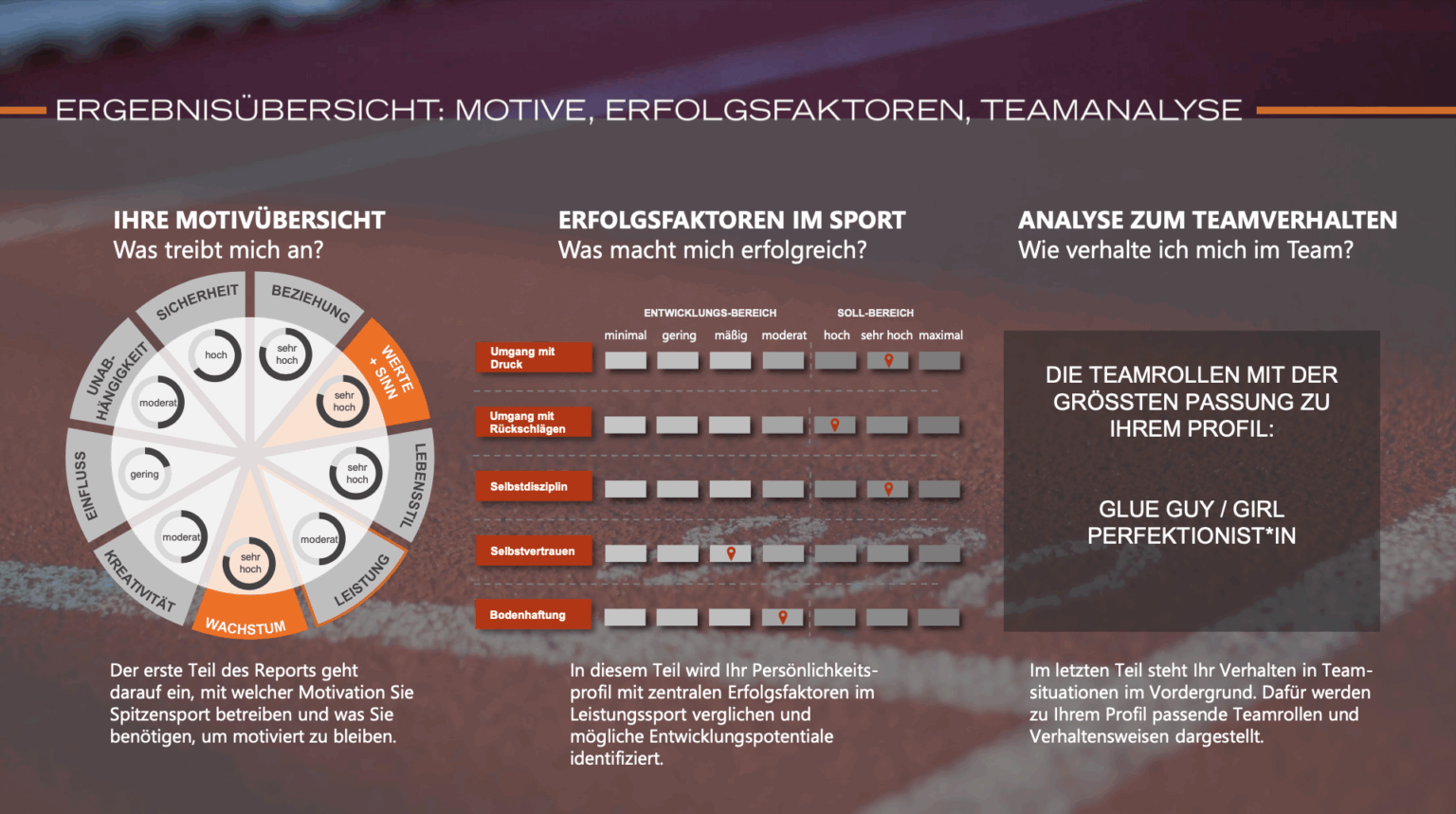 Beispielseite Einzelsportler Profiler -