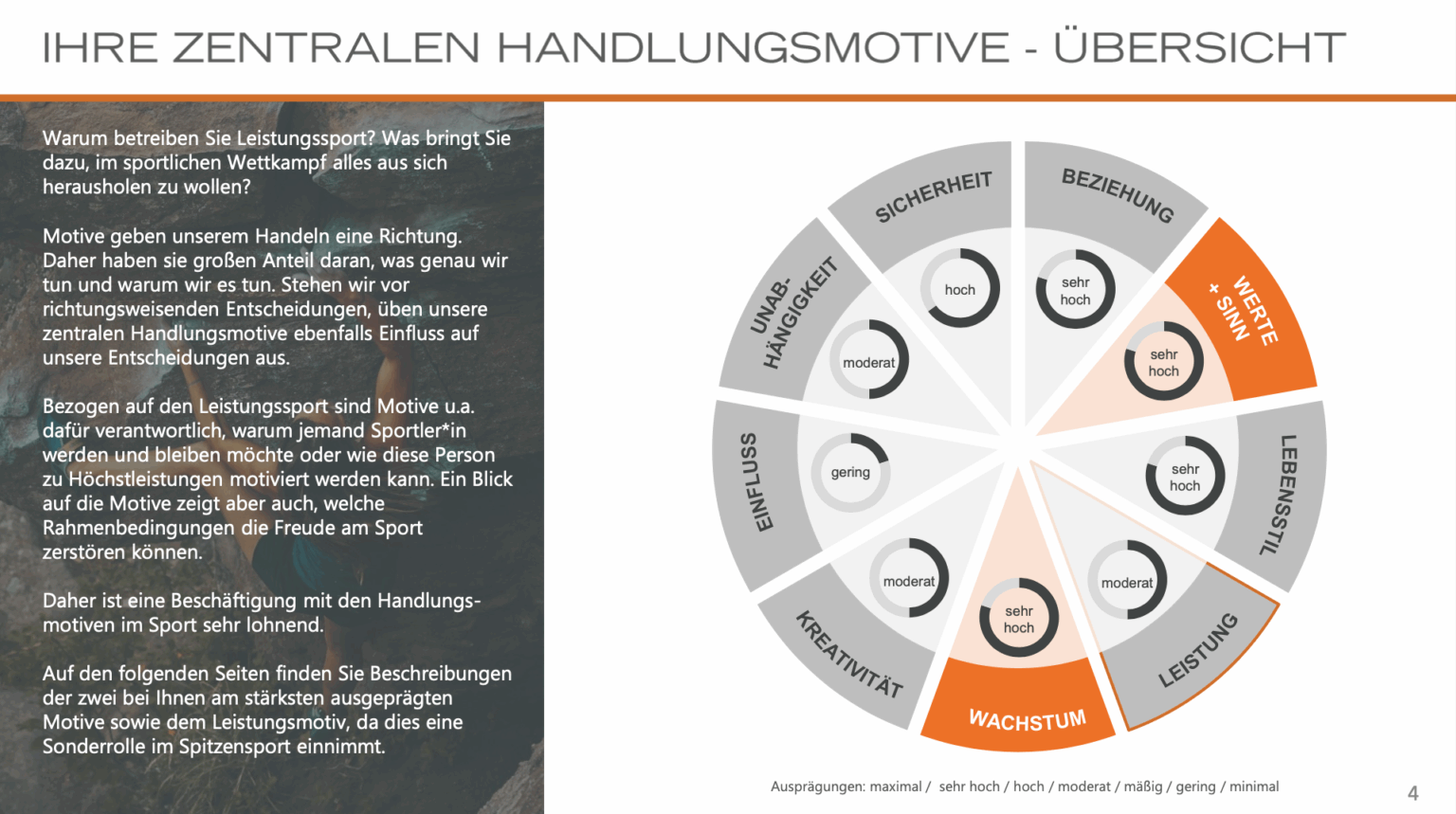 Beispielseite Einzelsportler Profiler - Handlungsmotive