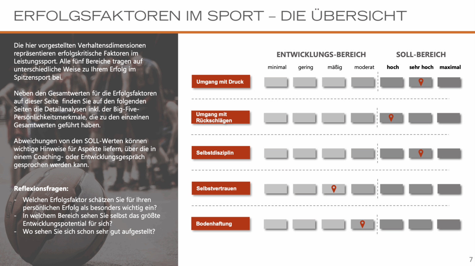 Beispielseite Einzelsportler Profiler - Erfolgsfaktoren