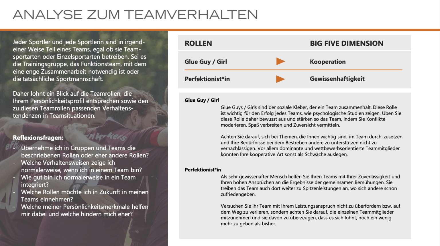 Beispielseite Einzelsportler Profiler - Teamverhalten