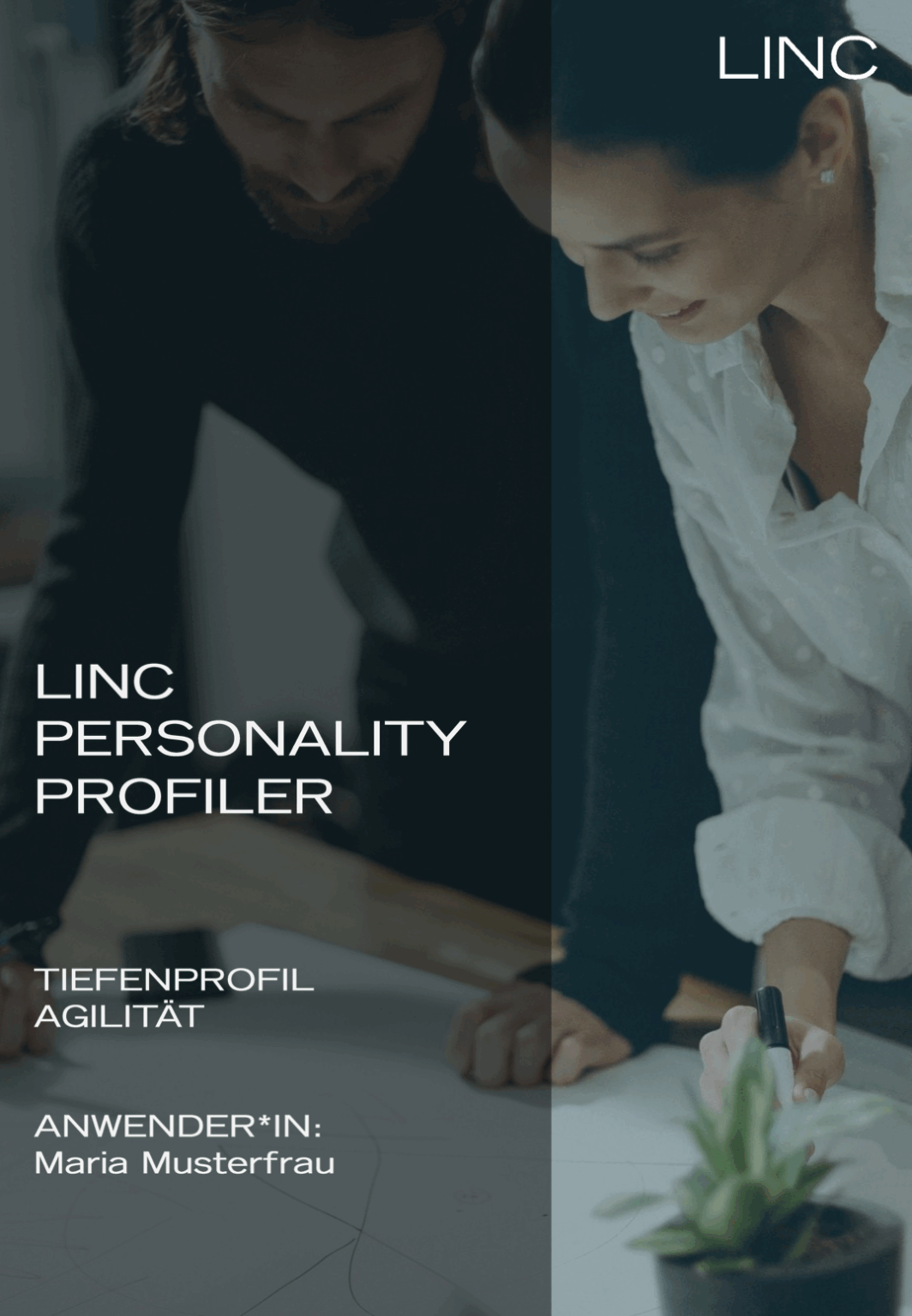 Beispielseite Tiefenprofil Agilität - Deckblatt