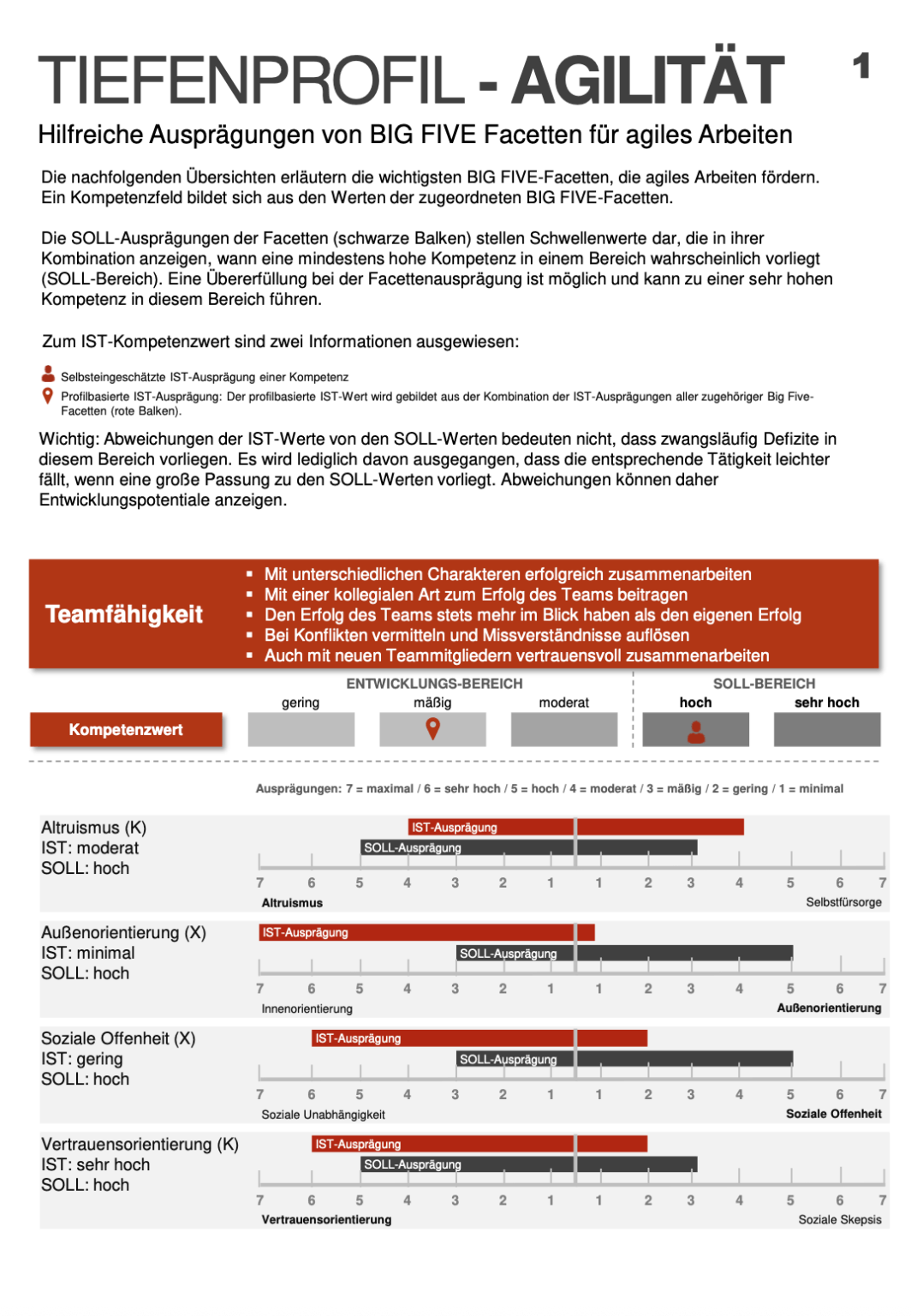 Beispielseite Tiefenprofil Agilität - Teamfähigkeit